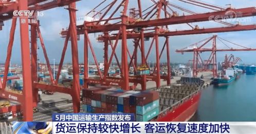 5月中國運(yùn)輸生產(chǎn)指數(shù)發(fā)布 貨運(yùn)保持較快增長，客運(yùn)恢復(fù)提速，道路貨運(yùn)彰顯韌性